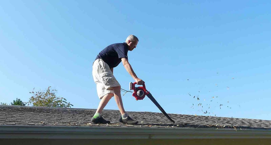 How To Remove Mold From Your Roof