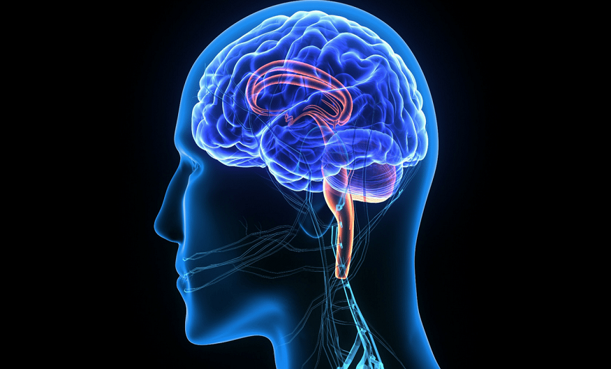 Best vitamins for improving brain productivity