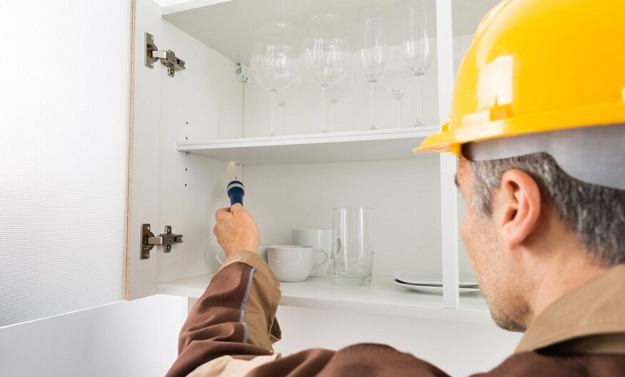 Termite Treatment Adelaide