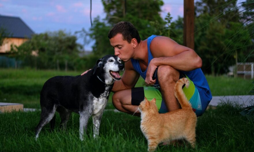 Matt Davies Concord Communities Clarifies Particulars Surrounding Holding Your Pet Correctly Groomed