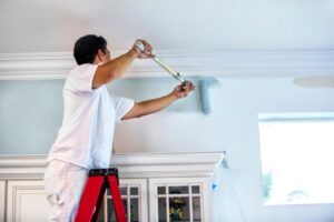 Professional House Painter