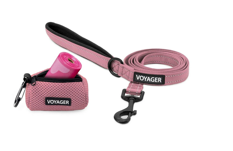 dog leash and collar